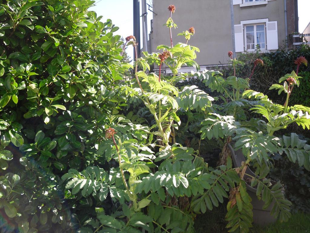 Appartement La Loob Gites De Daumesnil Etage Morlaix Rom bilde